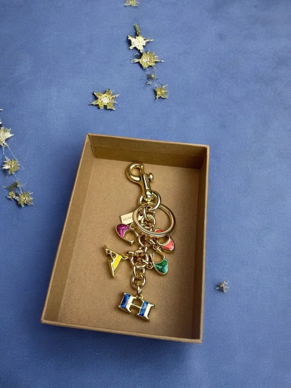 🌸Coach Multicolor Key Holder with Gold Accents